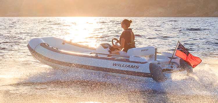 Williams SportJet 395
