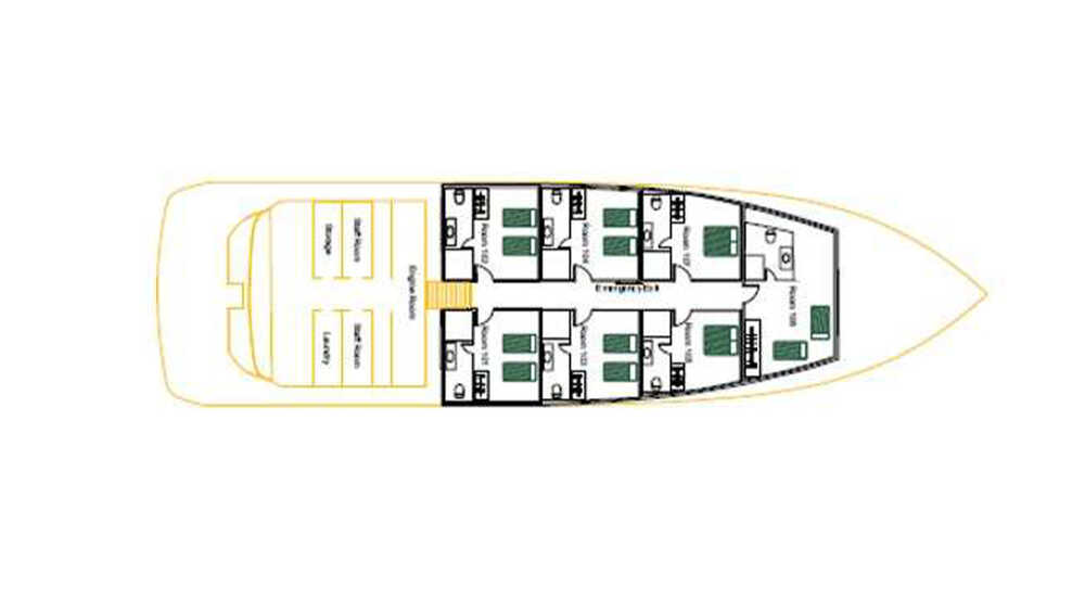 Lower deck