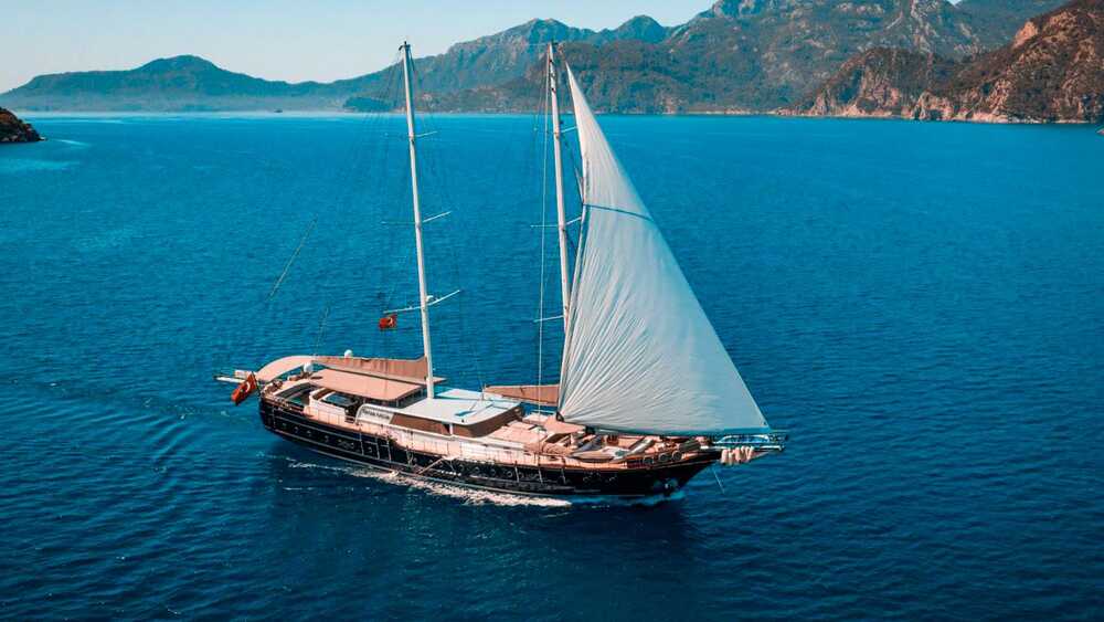 NEVRA QUEEN exterior