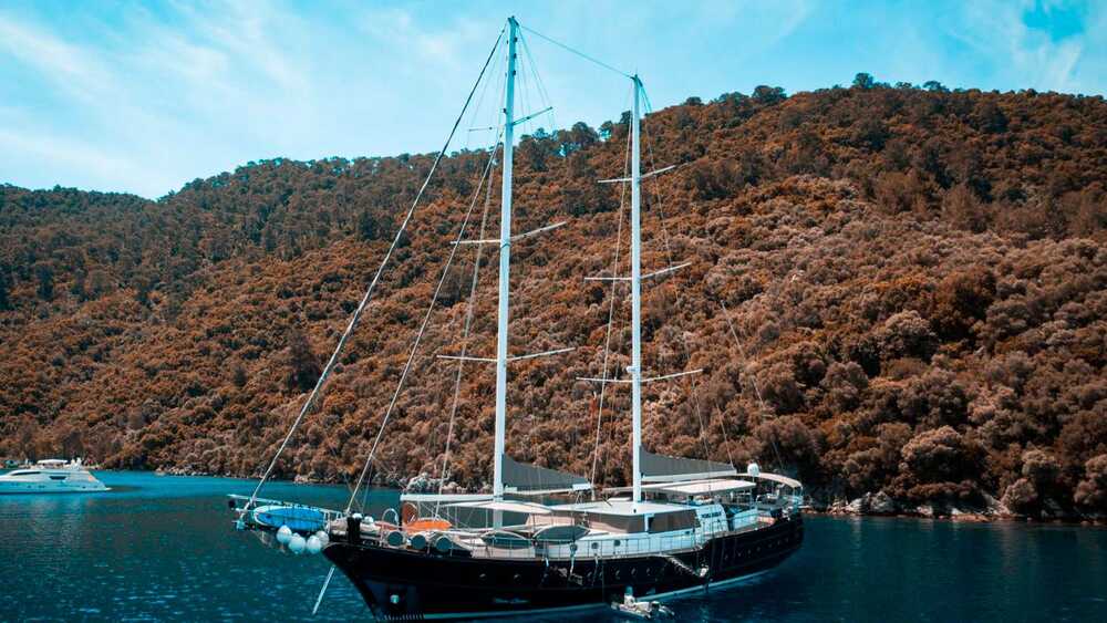 NEVRA QUEEN exterior