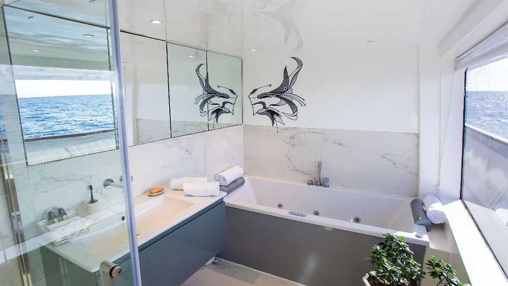 Master cabin bathroom 