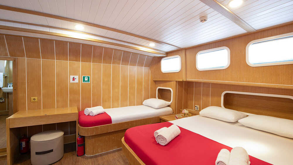 Guest cabin