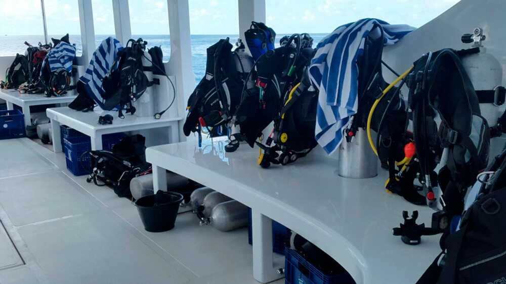 Diving equipment 