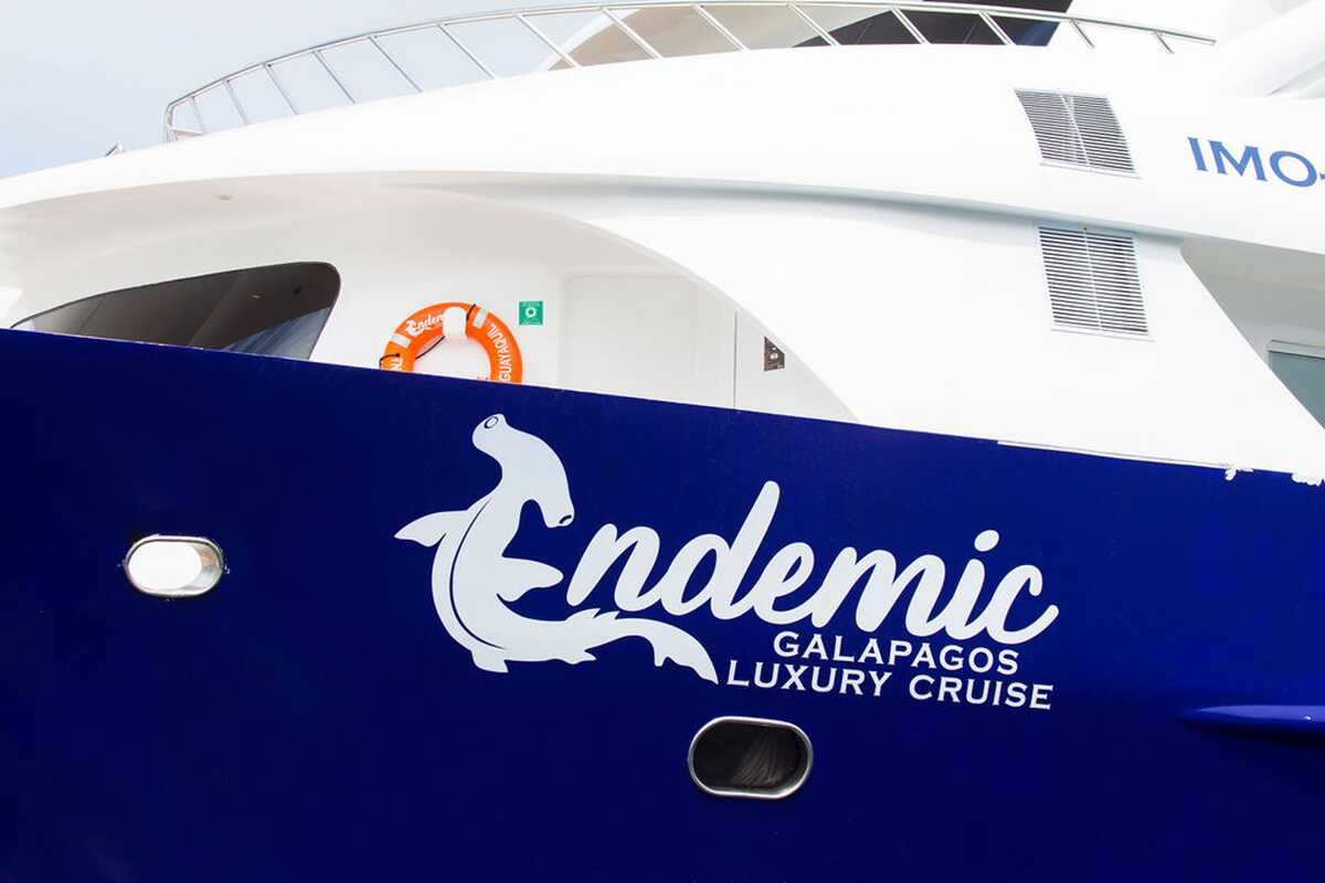 ENDEMIC, 35.00 м