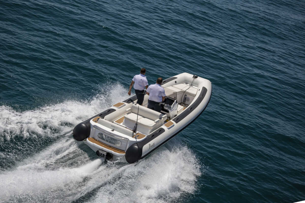 Экстерьер