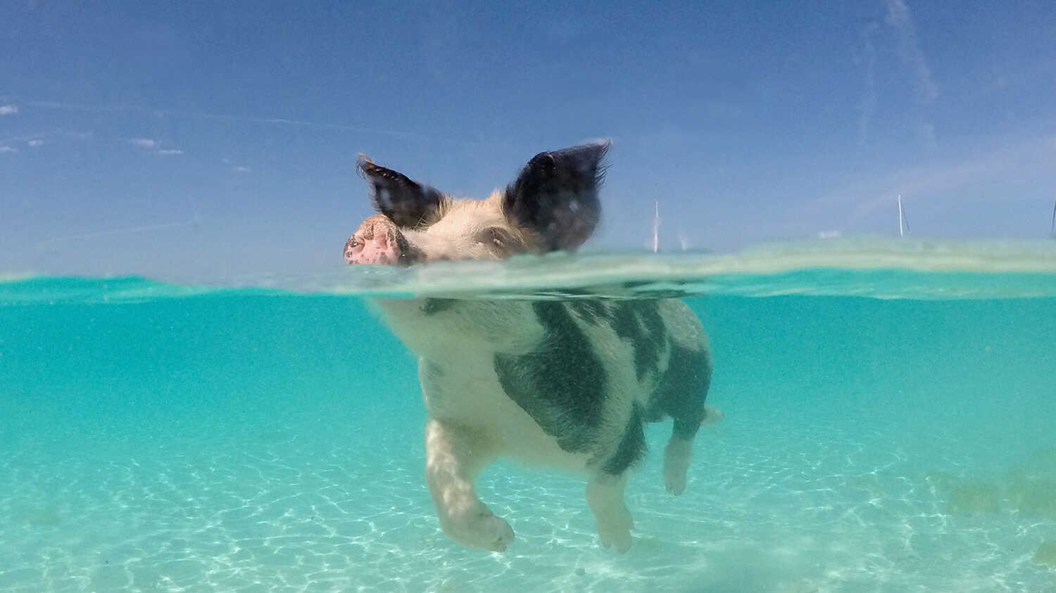 Bahamas