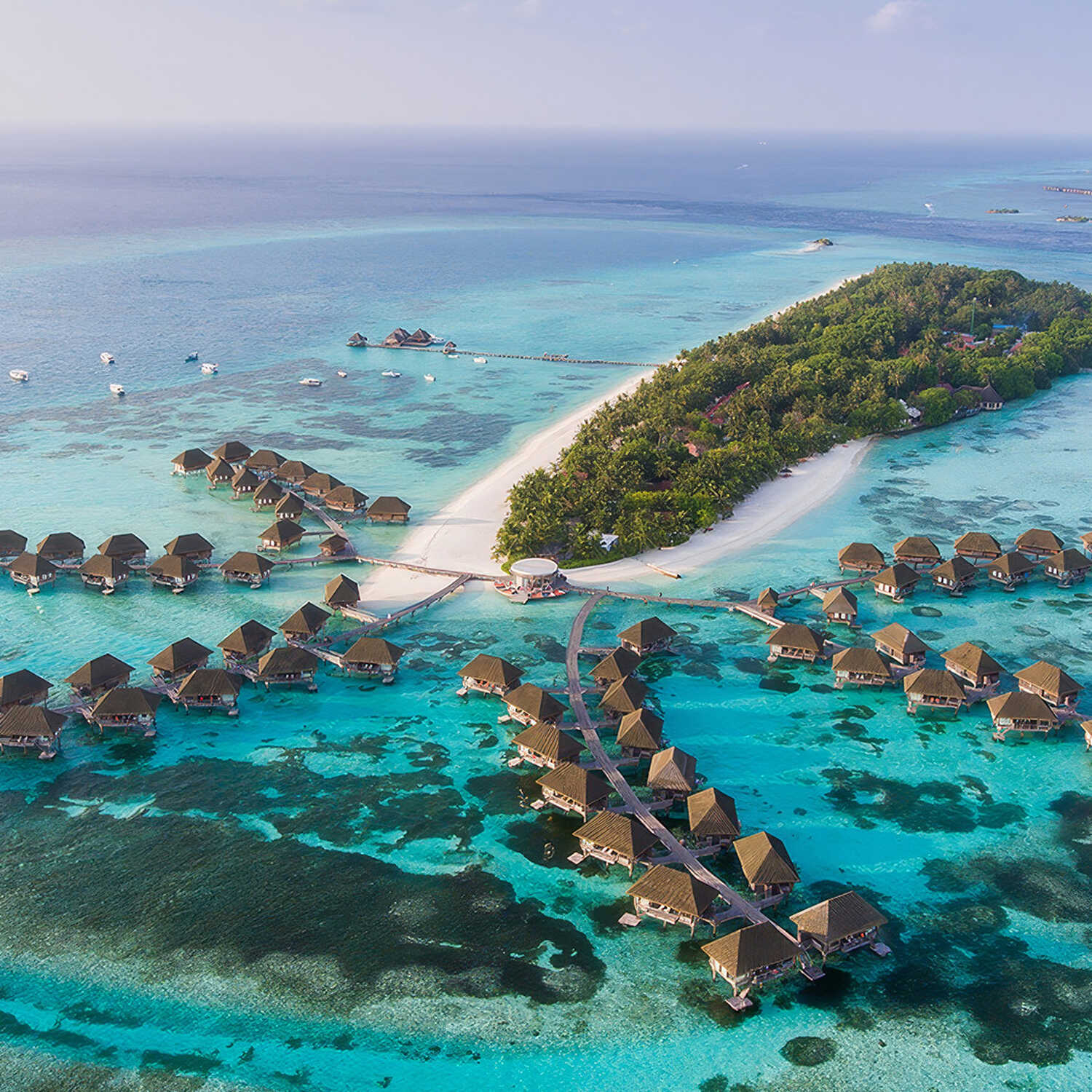 Discover the Maldives