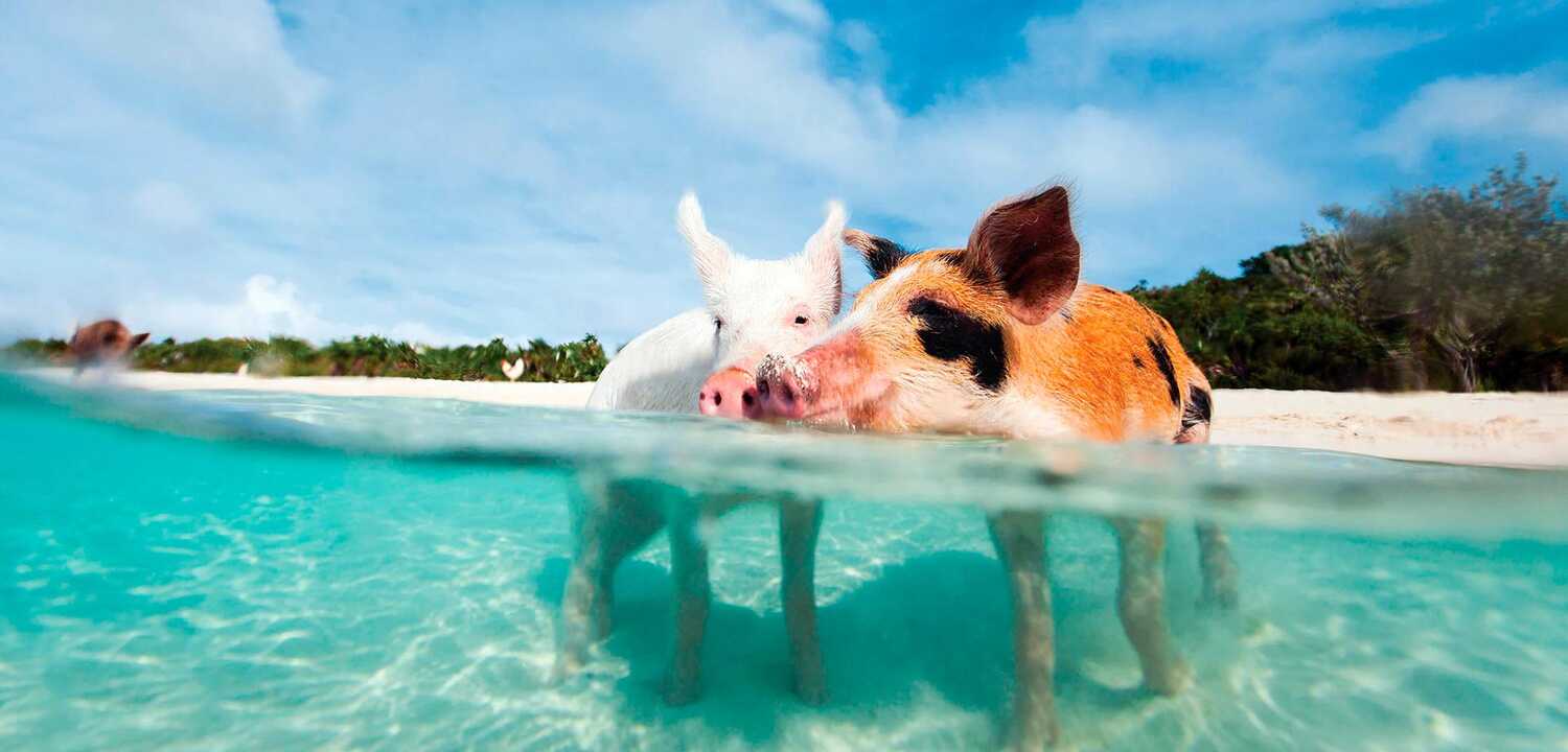 Exuma Islands